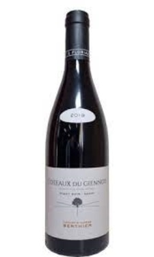 Coteaux Du Giennois 2020 Rouge 75 Cl Vignobles Berthier