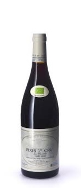 Bourgogne Rouge Fixin 1er Cru Les Hervelets 2022 Domaine Molin