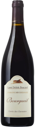 AOP BOURGUEIL DOMAINE DES CHESNAIES 2021 BIO